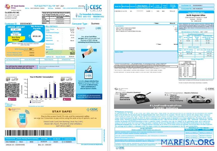 Realistic INDIA CESC LIMITED business utility bill Word and PDF template, version 2 các trang đã xóa